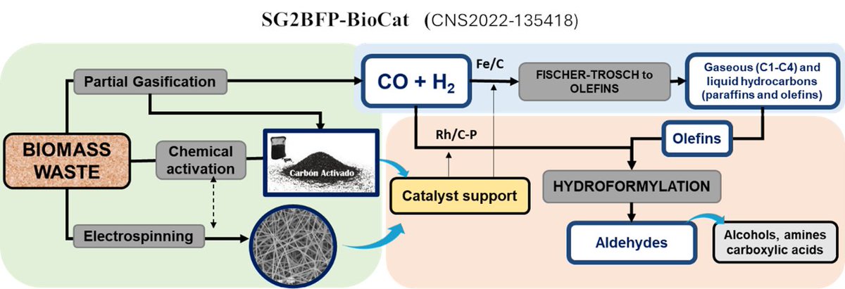 SG2BFP-BioCat tweet media