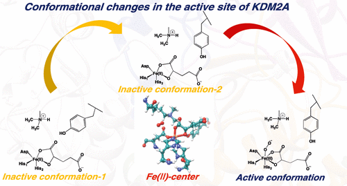 The Unique Role of the Second Coordination Sphere to Unlock and Control Catalysis in Nonheme Fe(II)/2-Oxoglutarate Histone Demethylase KDM2A | Inorganic Chemistry pubs.acs.org/doi/10.1021/ac… Christov and co-workers <a href="/InorgChem/">Inorganic Chemistry</a> #iron #nonheme #histone #lysine #demethylases #KDM2A #SCS