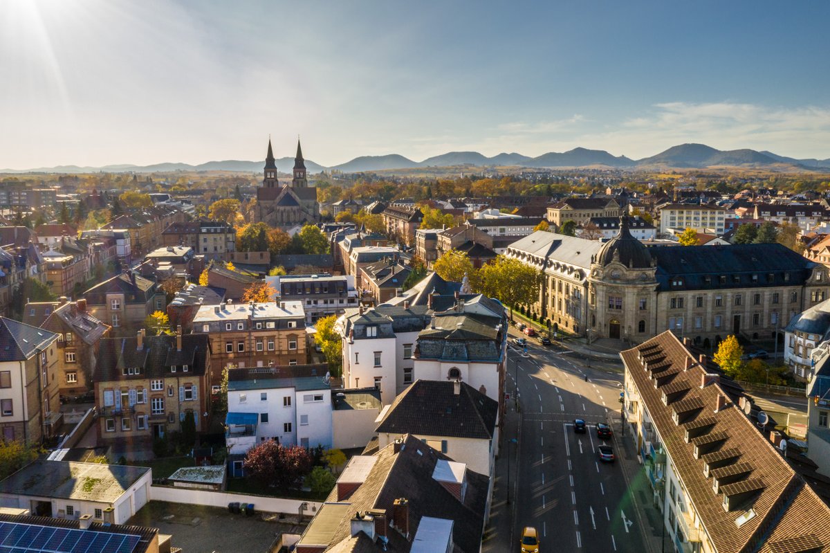 Just a little reminder that the deadline to apply for the post-doc position in social psychology in Landau is closing on Sunday (May 26). Come and join us at Landau! ☺️