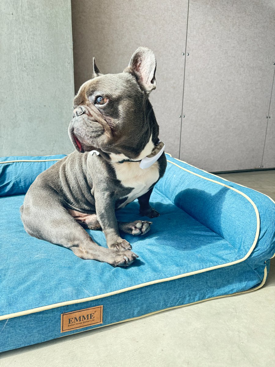 ponythestudio's tweet image. Our studio in the heart of Design District has a few empty chairs that we really need to fill in 😉

Are you a talented Brand or Product Designer with a passion for creating exceptional designs? 

If so, we want to hear from you 👉pony.studio/careers

#designerjob #jobs