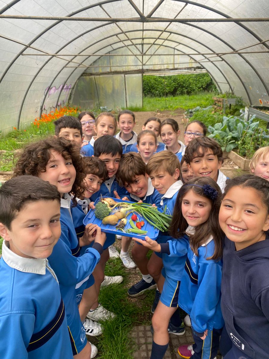 ¡Hola!
Os presentamos una muestra de las verduras y hortalizas que educación primaria ha cosechado en el huerto-invernadero: brocoli, guisantes, cebollas, fresas, patatas 😋😋

#SMNaranco #ColegioPrivado #ColegioConcertado #Oviedo #Asturias #EducaciónPrimaria #Invernadero