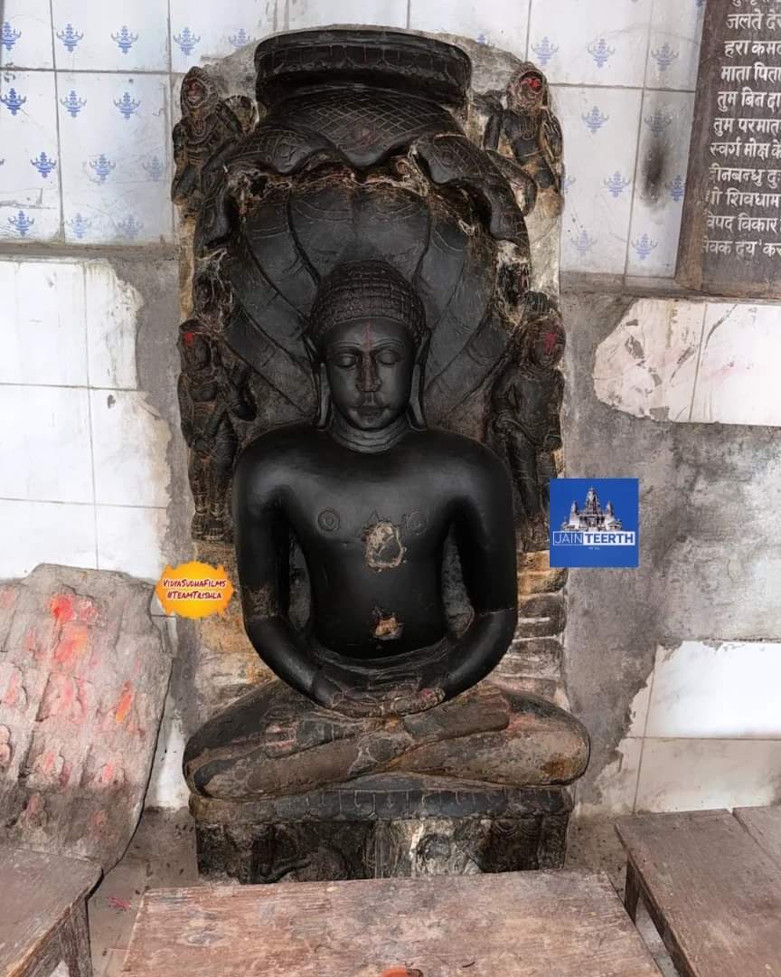 पचार पहाड़ी पर अनेकों दिगम्बर जैन प्रतिमा (5वी से 13वी शताब्दी की ) प्राप्त हुई जो वर्तमान में पटना संग्रहालय में सुरक्षित है । 
वर्तमान में सम्पूर्ण पहाड़ में एकमात्र दिगम्बर जैन मंदिर विद्यमान है । जिसमें अत्यंत ही दुर्लभ एवं अतिशयकारी श्री 1008 पार्श्वनाथ स्वामी विराजमान है ।