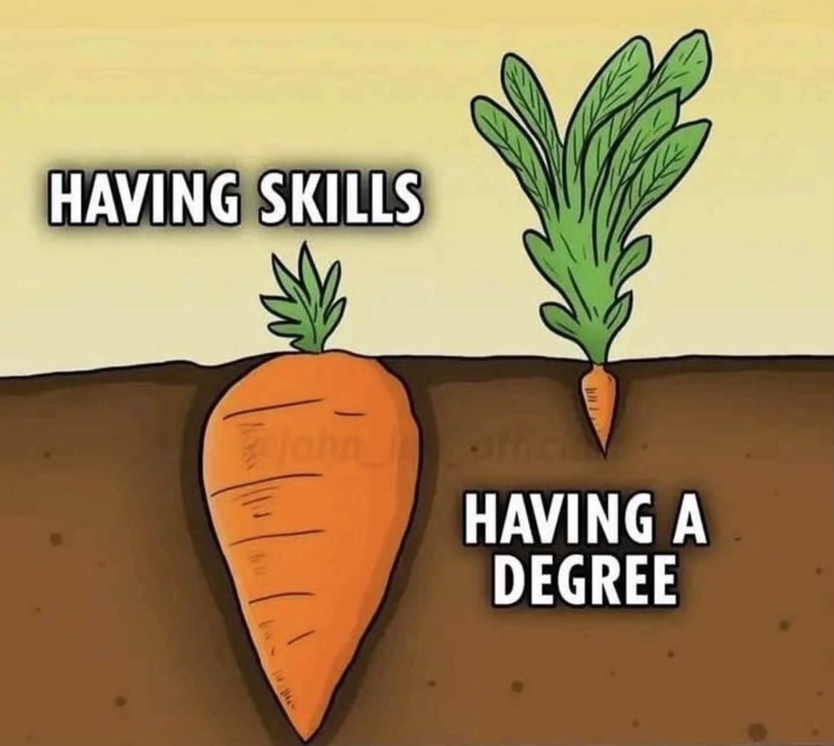 Skills > Degree.