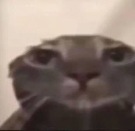 я ненавижу фармакологию