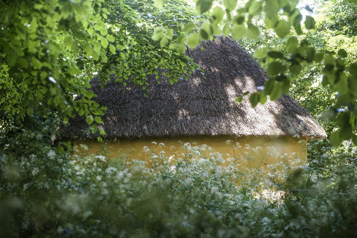 The site on which Bunratty Castle stands was in origin a Viking trading camp in 970. 💛 …see you there this Sat and Sun, just west of this cottage, before the drawbridge. 🤺⚔️