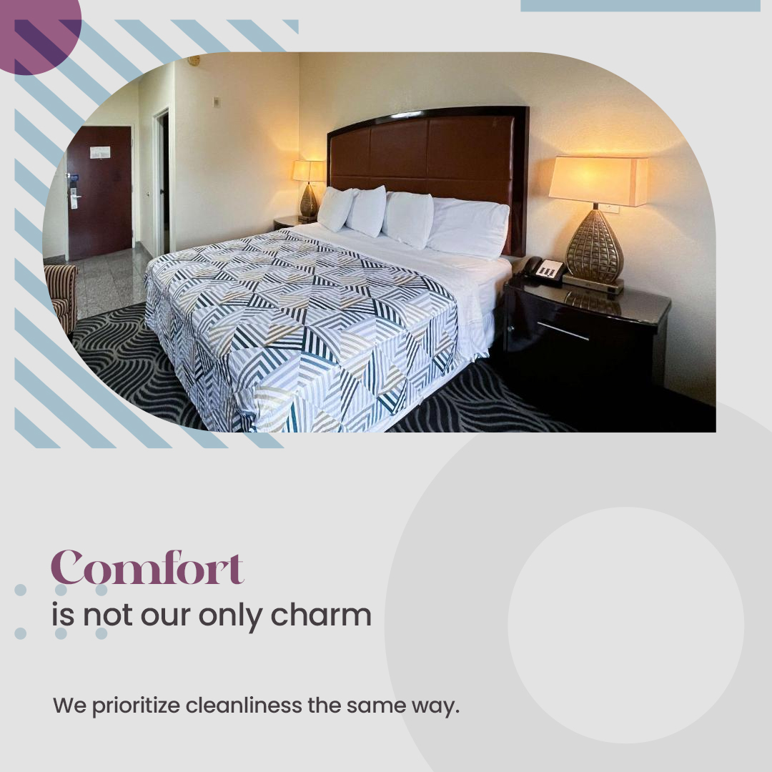 executiveinnpb's tweet photo. Experience pristine cleanliness and unmatched comfort at Executive Inn, Pittsburg, where every detail is meticulously curated for your satisfaction.

For More Details, Visit: https://t.co/bxqtbzatar

#executiveinn #executiveinnpittsburg #vacation #holidays #hotel #tourism #tour https://t.co/uzZssBGXKL