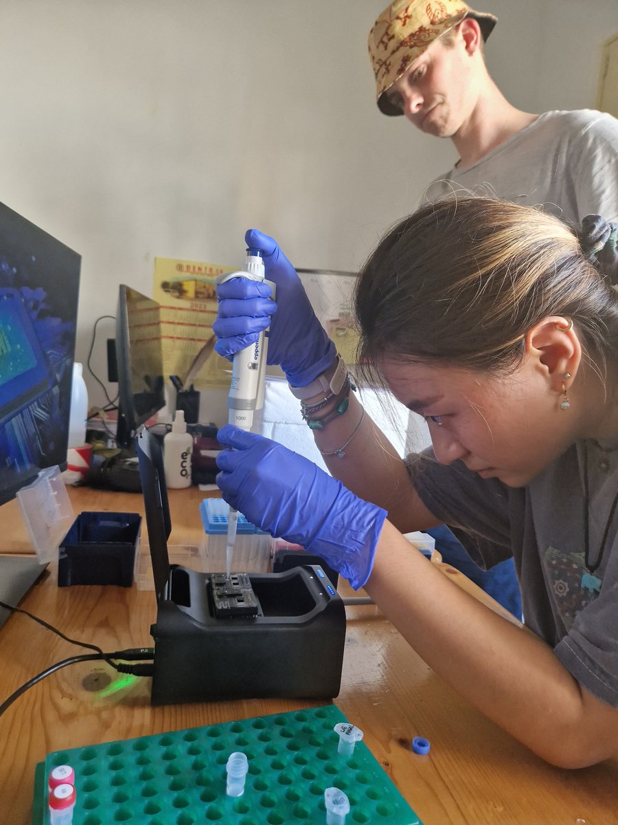 EizaguirreLab's tweet photo. As loggerhead sea turtles already start to arrive in Cabo Verde for the nesting season, we are also busy organising our fieldwork plan this summer! 🐢 #StayTuned #WorldTurtleDay #TheTurtleProject https://t.co/VzmE0sQQNE