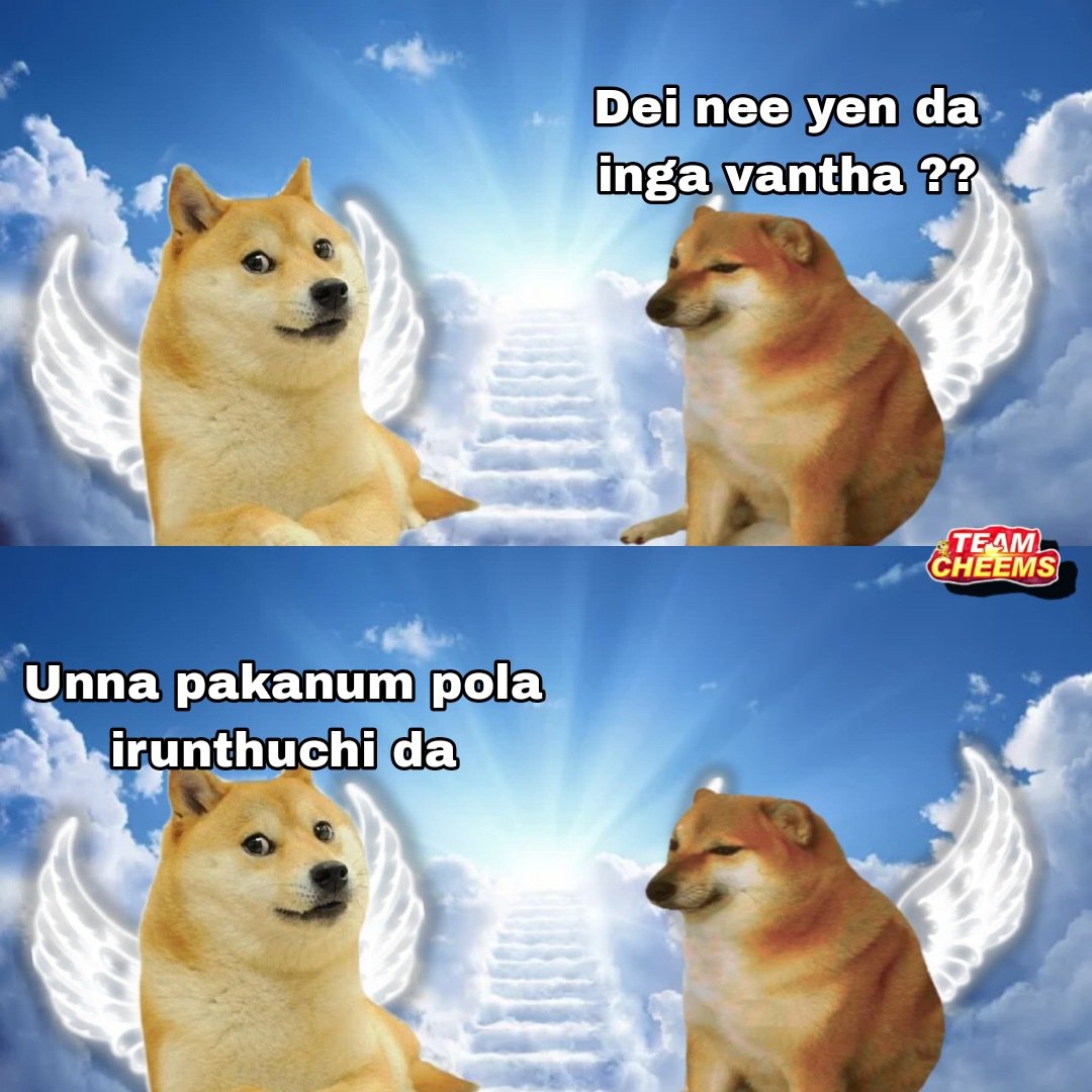 RIP DOGE 🕊️💔