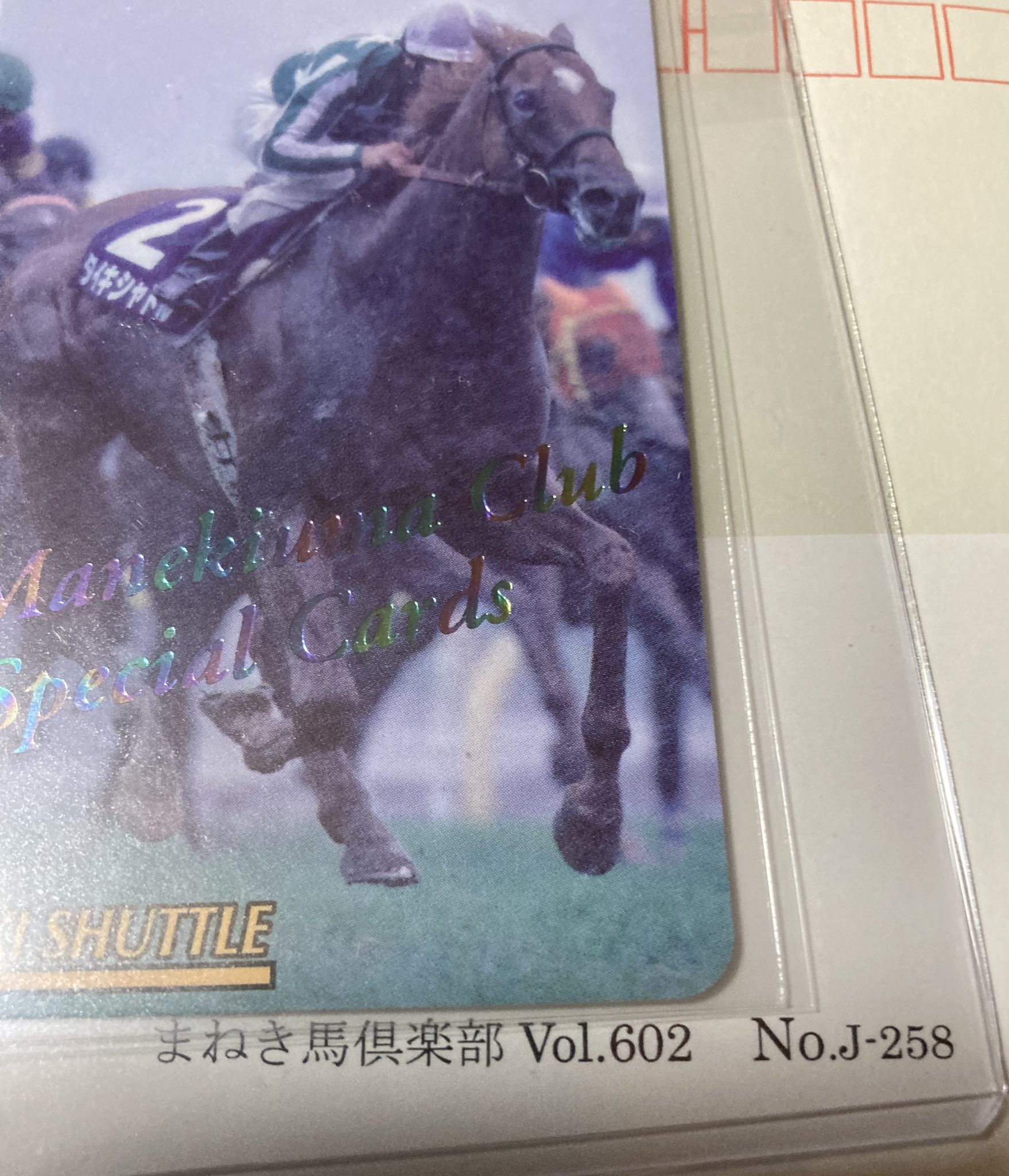 ☆第84回オークス(No.2494)まねき馬倶楽部レインボーカード◇15枚限定 Amazon.co.jp: ステイゴールド まねき馬倶楽部 レインボーカード
