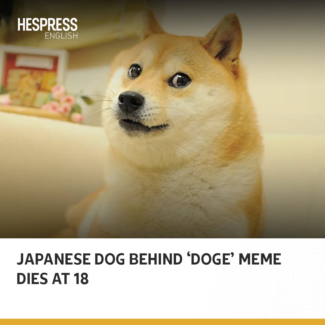 The Japanese dog whose photo inspired a generation of oddball online jokes  and the $23-billion Dogecoin cryptocurrency beloved by Elon Musk died on  Friday, her owner said. 