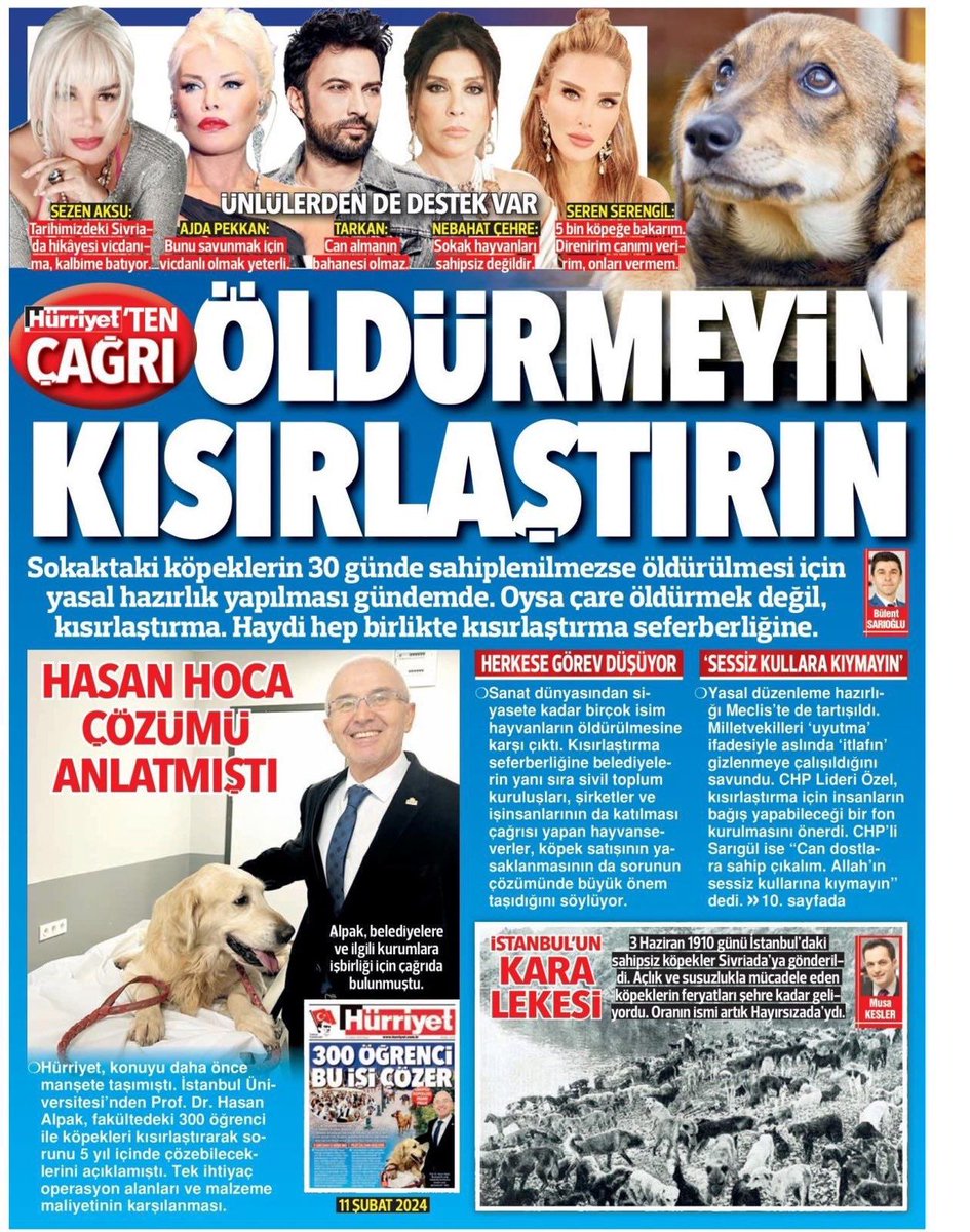 Mama lobisi yine devreye girmiş. Hürriyet de bu lobinin sesi olmuş. Şaşırtmadılar. Ne de olsa başıboş sokak köpekleri onların sırça köşklerinde değil halkın aradında! Yazıklar olsun.. Bu tuzu kurulara rağmen lütfen bir an önce Sokak Köpekleri Toplatılsın