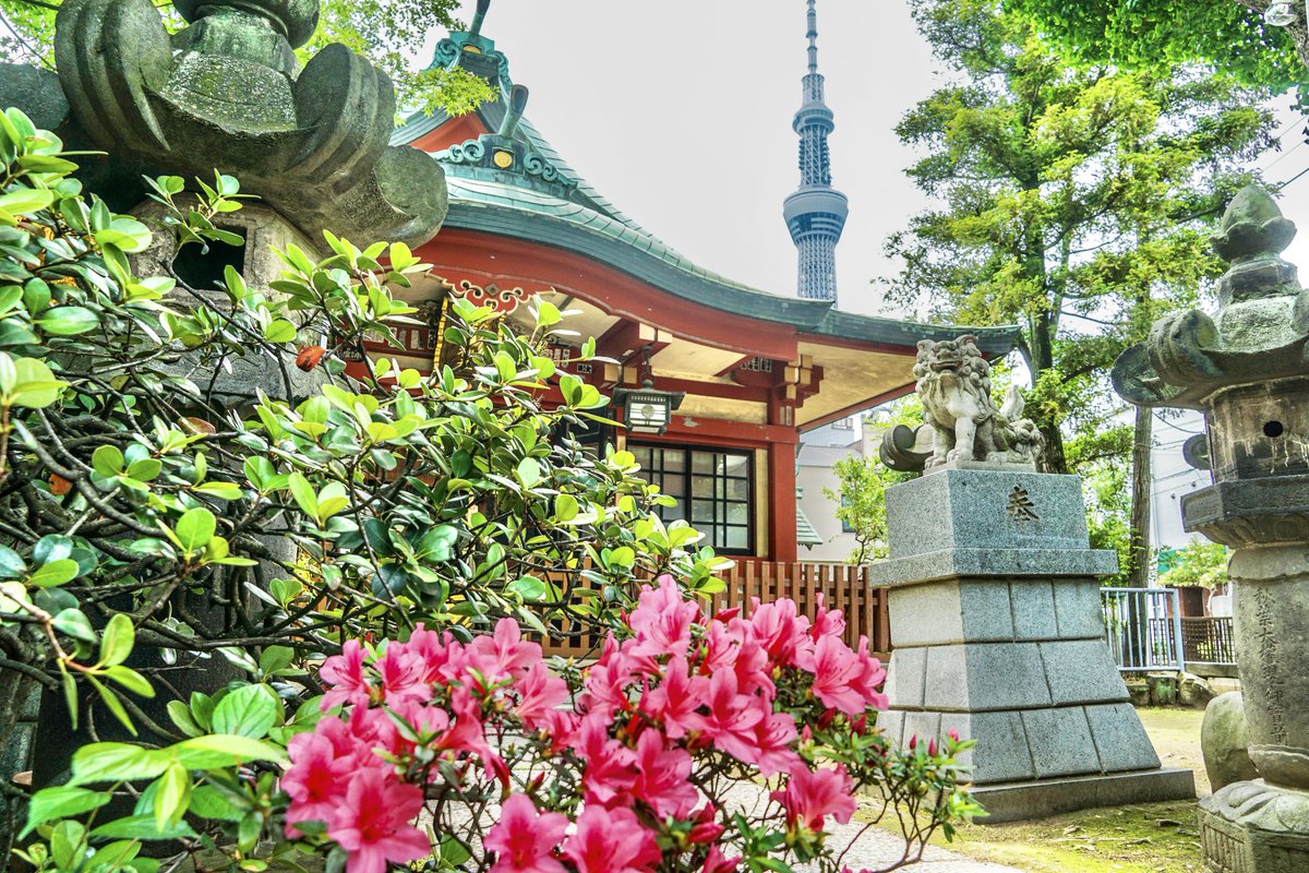 向島秋葉神社。墨田区向島。古くは千代世稲荷大明神と呼ばれ、江戸時代に火伏の神・秋葉大神の神像が安置。今も秋葉様と稲荷様が祀られています。江戸時代には「江戸中一の紅葉の名所」とされ浮世絵などにも。境内に置かれた石灯籠はかつての隆盛を偲びます。参道はまだ僅かに残る昭和レトロ。#御朱印