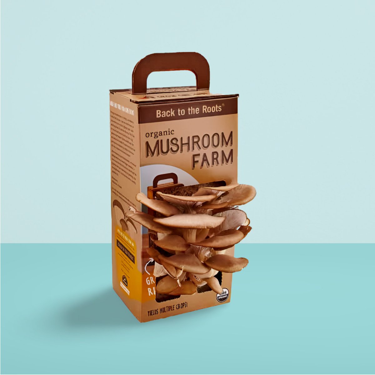 customboxrange's tweet image. Efficient Packaging Solutions with Collapsible Custom Mushroom Boxes
Buy Now with Best Price:
customboxesrange.com/mushroom-boxes/
#mushroomboxes #mushroombox #custommushroomboxes #mushroompackagingboxes #custommushroombox #mushroomboxpackaging #mushroompackaging