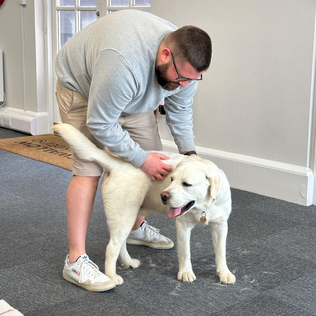 Swallow_MC's tweet photo. Quick Reggie update! 🐶 

Reggie turned one! 

He’s on his third pair of Chris’s sunglasses and loves AirPods. 

Luke’s black trousers got a polar bear hug from Reggie. (Sorry, Luke!) 

But hey, we wouldn't change him for the world! Stay tuned for more Reggie updates! https://t.co/2TumhL30WD