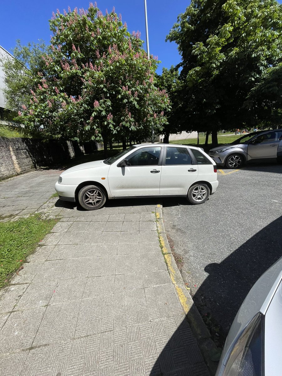 Todo el espacio es mío. Para eso tengo coche. #Ferrol