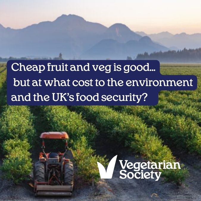 Cheap fruit and veg is good, if you want people to eat more of it, but at what cost to the environment and the UK’s food security is our reliance on imports? Read more in our blog vegsoc.org/blog/a-new-hor…
