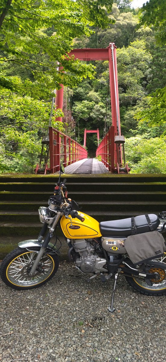 Youkooooo tweet media