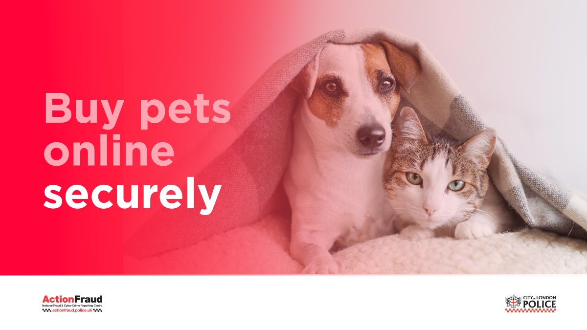 🐈🐕Don't be swayed by emotion when buying pets online. Always do your research carefully and buy wisely, be careful about how you are asked to pay. Find out more on how to protect yourself from #PetFraud 👉actionfraud.police.uk/petfraud