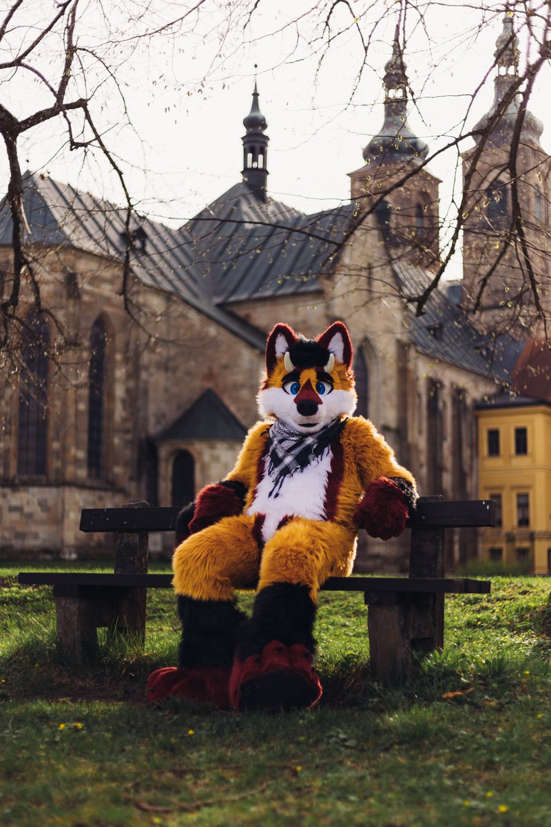 On this #FursuitFriday we want to introduce you to @areksim99 the Drolf! 🐺🐉 He would surely share his bench with you. 🤗 📸 @StejfS 🪡 @vino_studios 📍Klášter Tepla, 🇨🇿 #Furry #Fursuiter #furryfandom