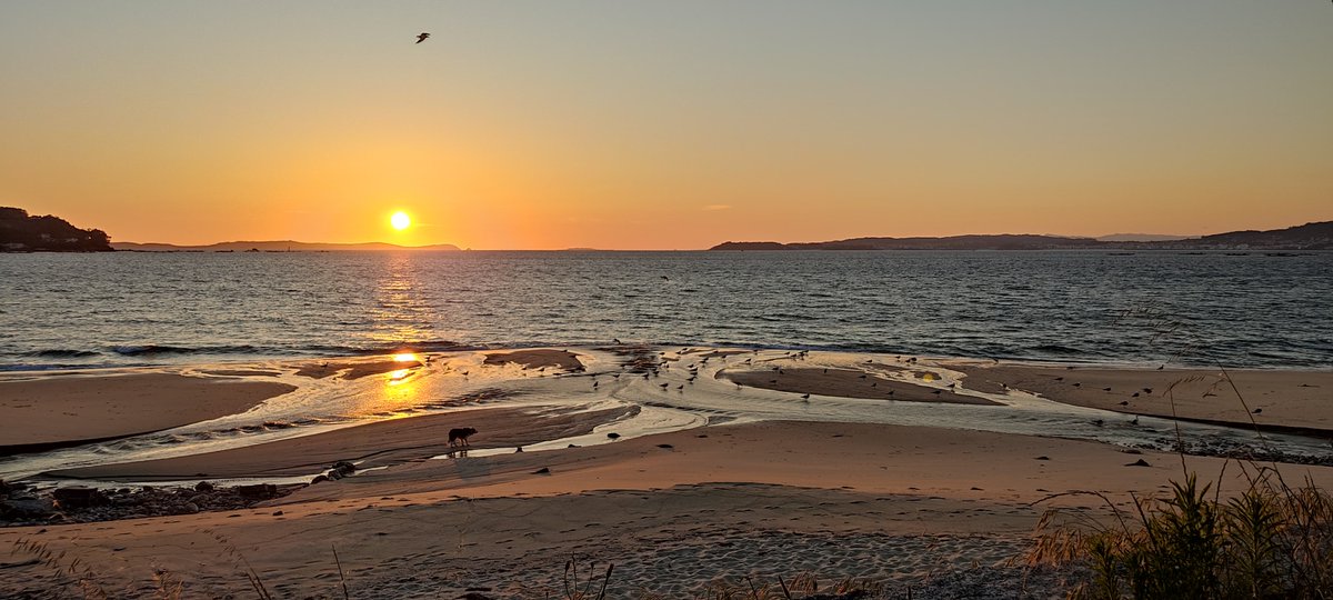 OTempoTVG's tweet photo. Os solpores que nos quedan por gozar! 🤩🤩
Esta foi a despedida do #astrorei, onte!

#Crepúsculo en Ferrol📷 👉 Jesús Salido
#Ocaso en Valdoviño📷 👉 José Taracido
#Atardecer en Bueu 📷 👉 Sonia Mariño https://t.co/qwL9XArvwD