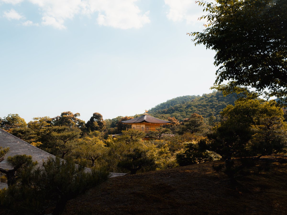 Utku Can tweet media