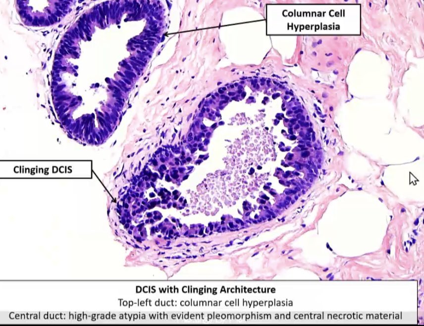 Janira Navarro tweet media