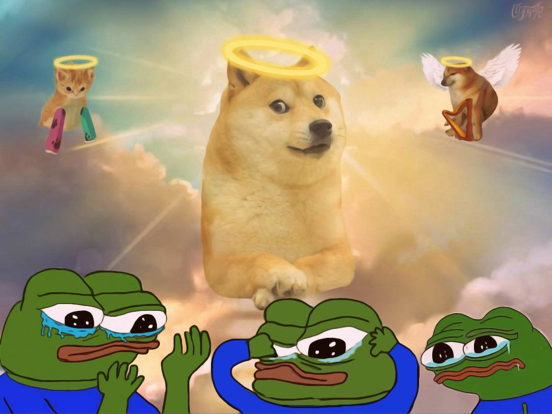 $APU
RIP fren 😢