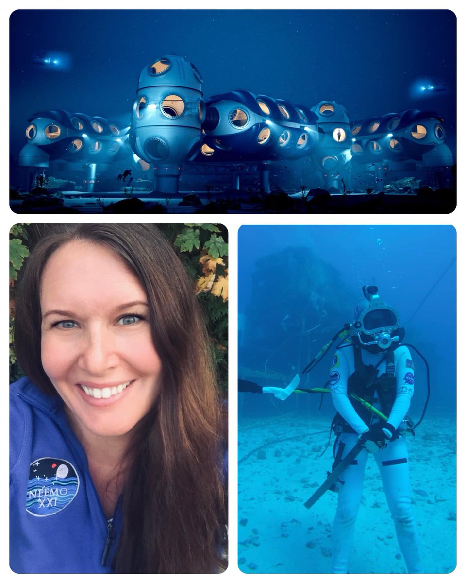 WDHOF (@thewdhof) on Twitter photo Huge Congratulations to our sea sister Dawn Kernagis for officially joining DEEP as their Director of Scientific Research! 
deep.com Huge Congratulations to our sea sister Dawn Kernagis for officially joining DEEP as their Director of Scientific Research! 
deep.com