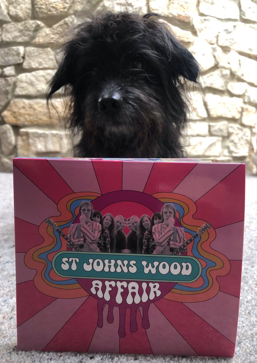 Been busy recording the 2nd ST JOHS WOOD AFFAIR album. Due for release later this year. Thanks for all the messages re our first album! Harvey says "It's GRRRRRRRRRRRRRREAT!". #THINKLIKEAKEY #SHINDIG