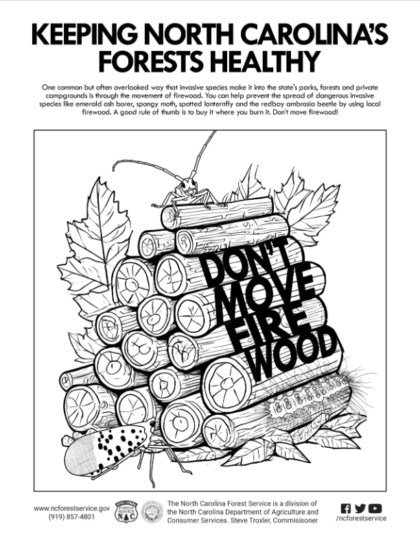 Familiar with our #EmeraldAshBorer coloring sheets? These sheets can help even the youngest observers with identifying EAB, signs of an EAB attack & remembering that moving firewood can spread this bad bug. Download these & other coloring sheets: bit.ly/4c9jQl5 #EABweek