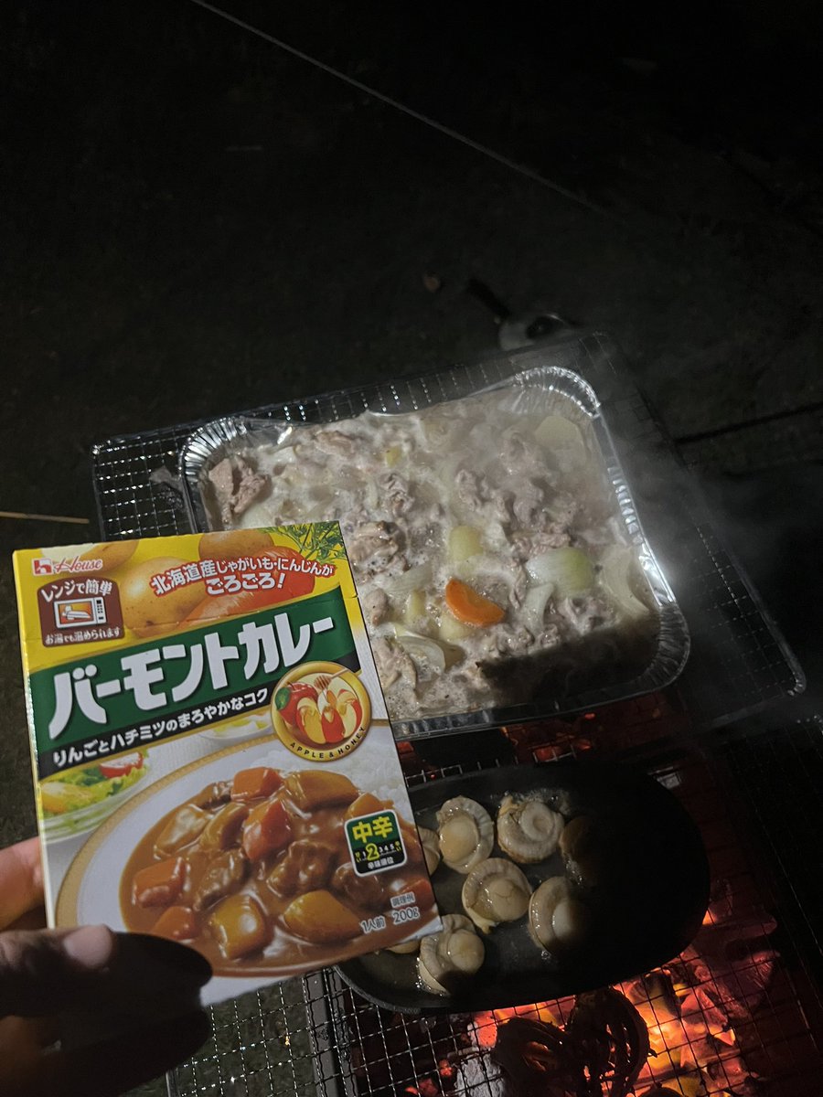 カレー作る気満々なのに間違えてレトルトカレー買ってもうた、