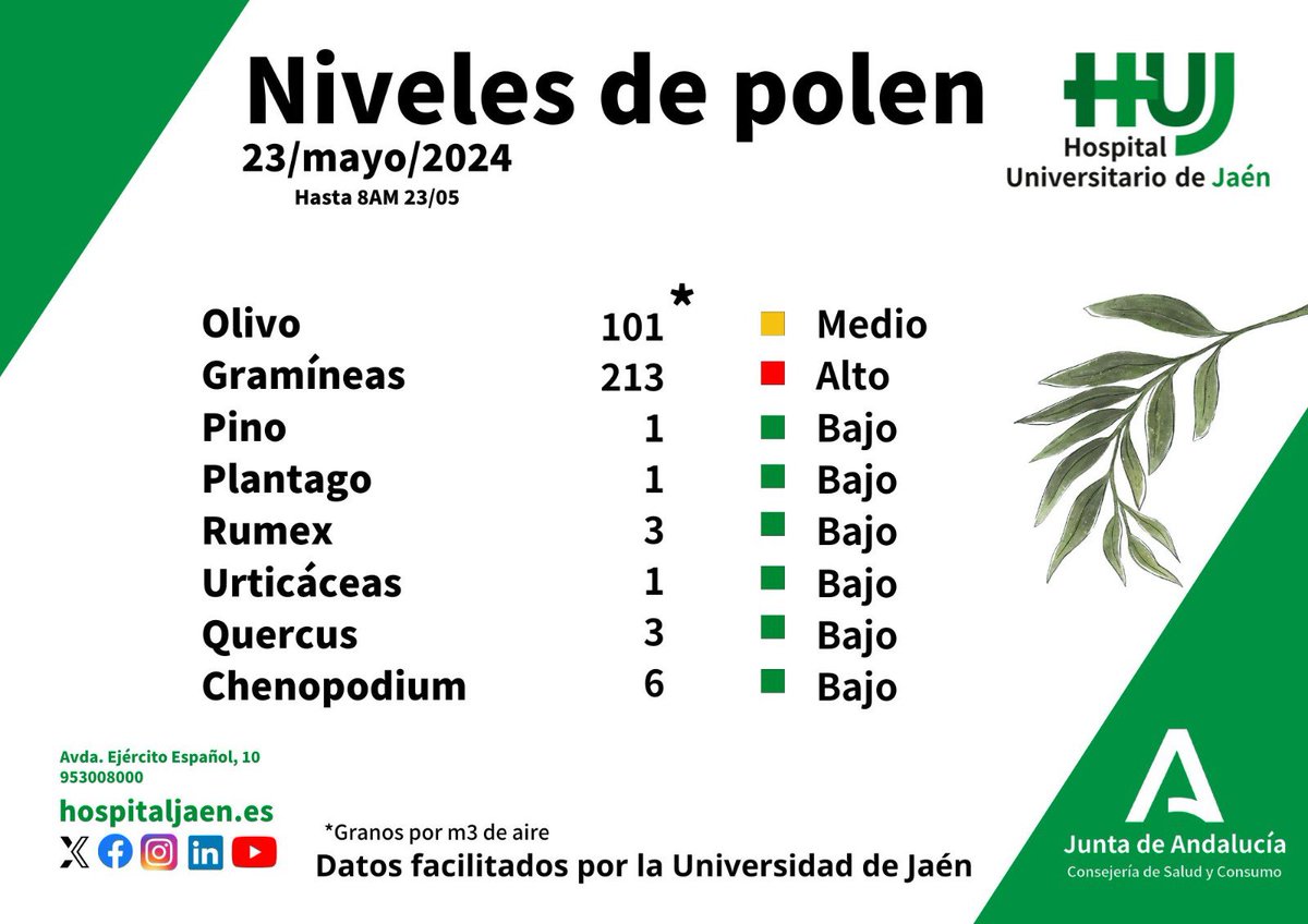Los niveles de #polen continúan estables con respecto a jornadas anteriores, con indices medios en #olivo y altos en #gramíneas.