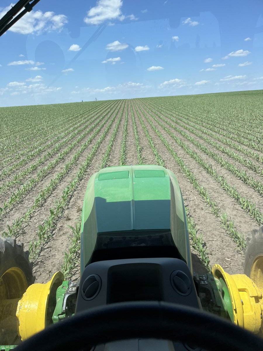 ColeWirth's tweet image. Now that it’s raining, I’m glad I got some side dressing done yesterday