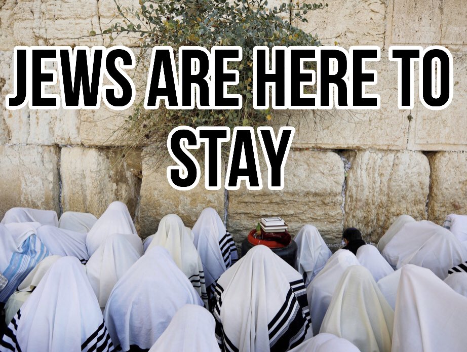 Kippah24_7's tweet photo. Jews✡️Beware of missionary
@SamReynolds62
Proselytizing to Jews! Adding him to @Israeli_Gamer_ pinned
#JewsFollowJews https://t.co/vUrxZ9CpVx