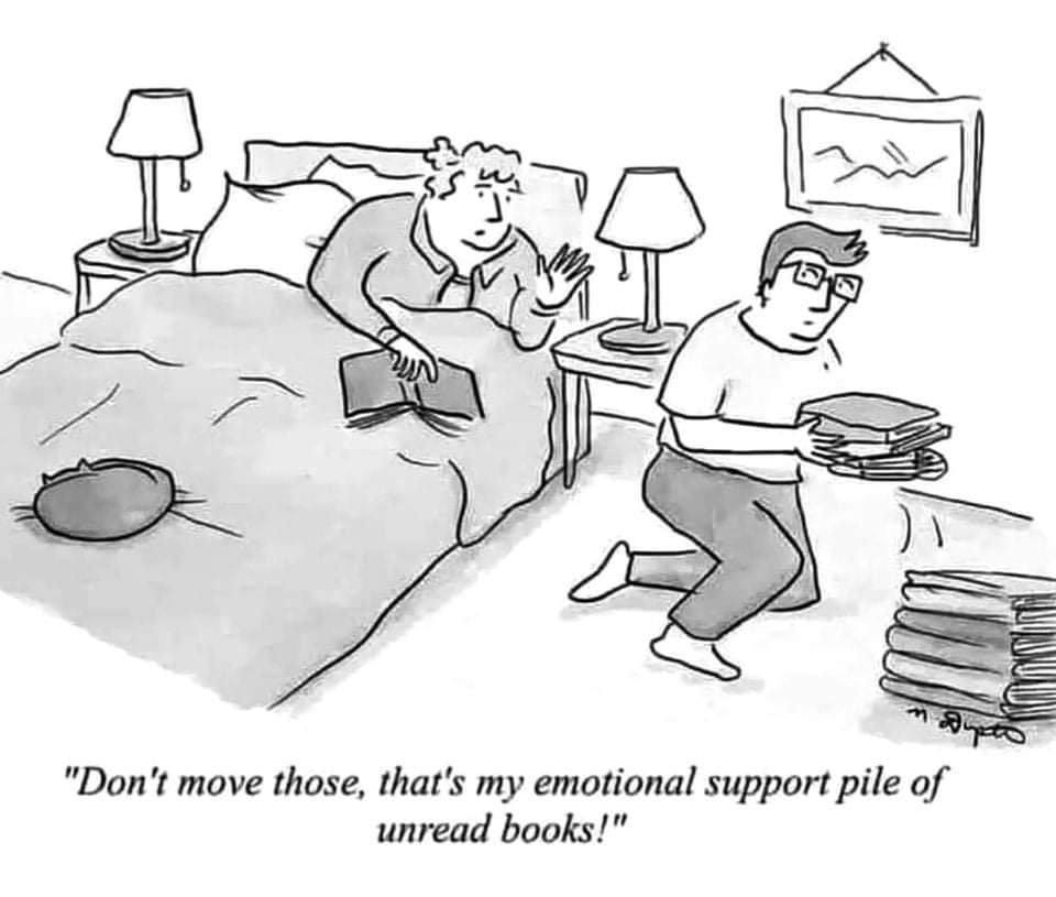 Elysian_Trust's tweet photo. 📚😊❤️📖🛏️‍⏳

#Books #EmotionalSupport #BookLovers #Reading #FriendsInBooks #BookPile #BedsideBooks #UnreadBooksAreLikeNewFriendsWaitingToBeMet https://t.co/gbEXsoIJJd