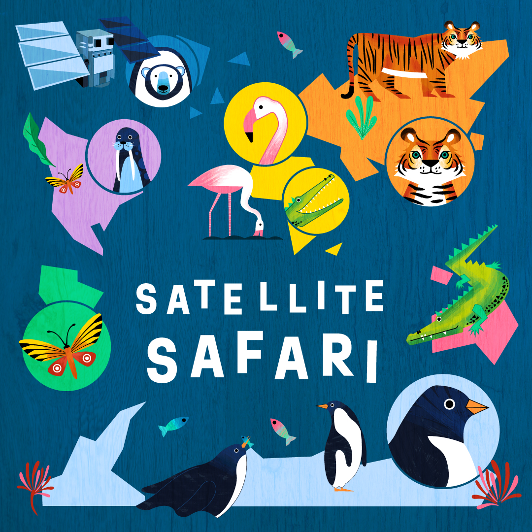 🦩🐻‍❄️ #SatelliteSafari starts today and runs until 2 June 🐯🐧 👩‍🔬 Science shows ✂️ Space crafts 👐 Hands on activities 📽️ Planetarium shows 🚀 Tetrastar Spaceport 🎟️ Get your tickets or book with your Annual Pass: spacecentre.co.uk/whats-on/limit…