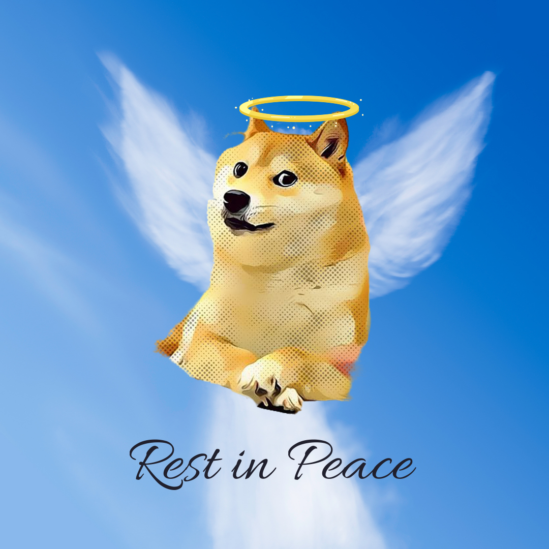 DogeDesigner tweet media