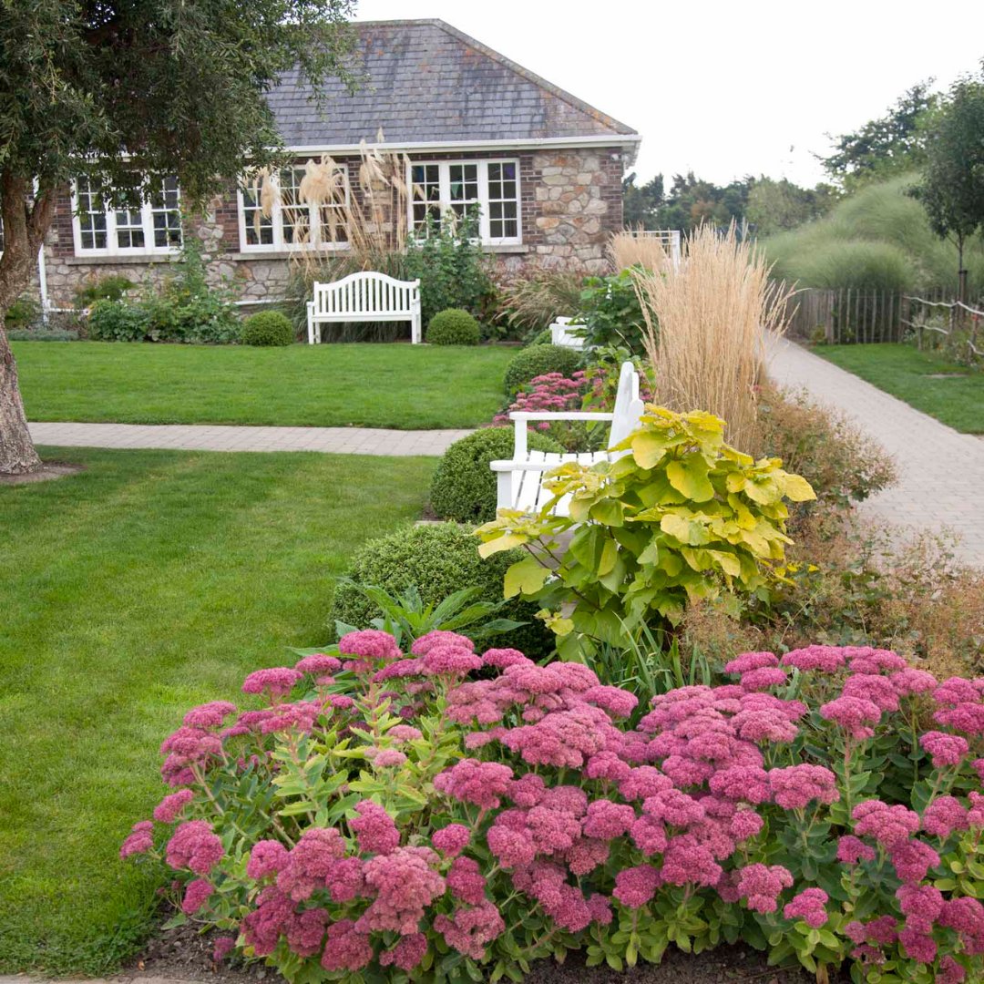 🎉 Attention Leaving and Junior Cert students! 🎉
Enjoy FREE entry to @airfieldestate until June 30th! ✨
Take some time to recharge and relax. Upon arrival, visit the ticket desk and share your exam number and school name. 📚🌸💚
#ExamSeason  #AirfieldEstate #stateexams