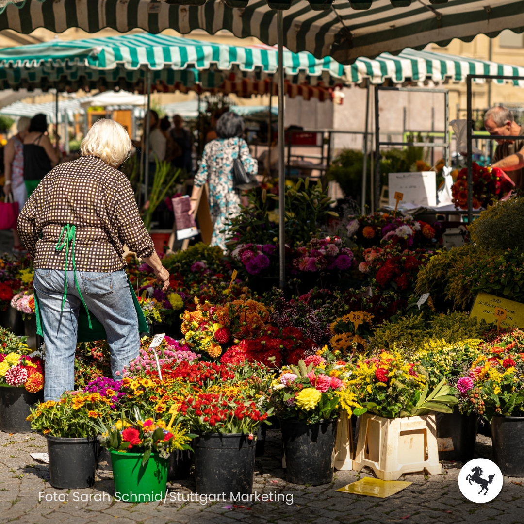 #Lieblingsviertel: Dreimal pro Woche findet auf dem #Schillerplatz in #Stuttgart der #Wochenmarkt statt. Immer dienstags, donnerstags und samstags kann man sich mit Gemüse, Blumen und weiteren frischen Produkten eindecken. 💐 🥕 🍏 ➡️ lieblingsviertel-stuttgart.de