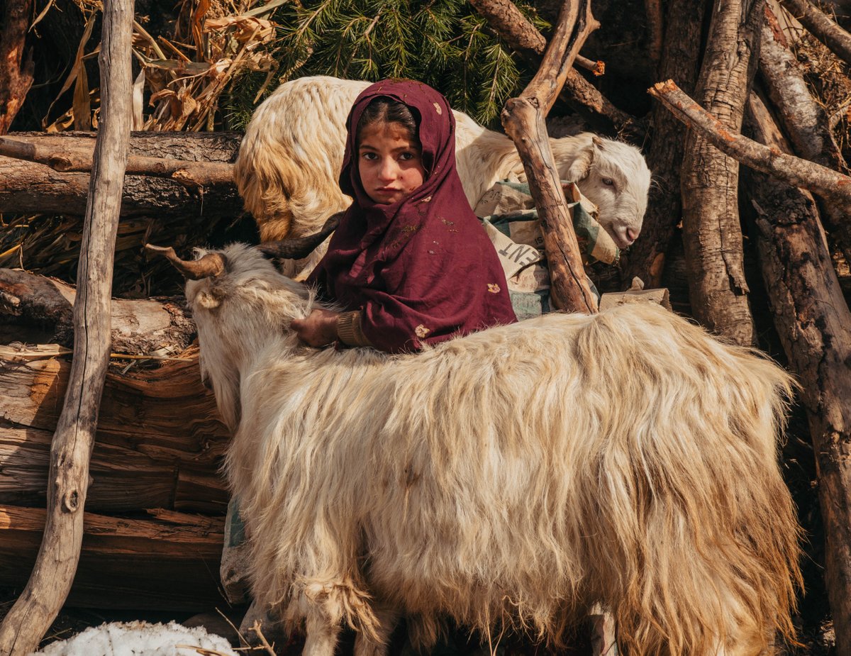 From the most remote villages in Afghanistan, to the dense communities of Somalia, we’re on a mission to #FeedOurWorld. 🥘 From just £29, you can give your Qurbani on a ‘where most needed’ basis. Secure yours with Penny Appeal today: pennyappeal.org/appeal/qurbani