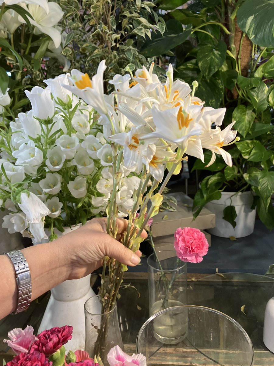 AnnaAMDumont's tweet photo. Was surprised yesterday at my market to recognize a flower I had never seen in real life: the slender, open-mouthed white lilies held by Gabriel at the annunciation. They are, my flower-seller tells me, gigli di Sant’Antonio, still grown commercially by just one Italian farm. https://t.co/BrjpLKVcyG