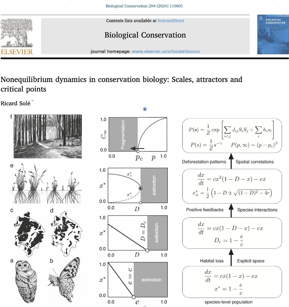 ricard_sole's tweet photo. What is the role of complexity, nonlinearity and phase transitions in conservation biology? What kind of lessons from maths can help preserve biodiversity? Here's my last paper in Biological Conservation. @ftmaestre  https://t.co/PDGlkHIRkJ https://t.co/2JmgMzbSSK