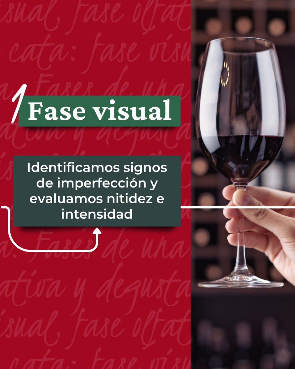 YeclaVino's tweet image. 🍷 Hoy queremos contarte las Fases de una Cata. ¿Sabe para qué sirva cada una?
Desliza en descúbrelas todas ➡️

#DOPYecla