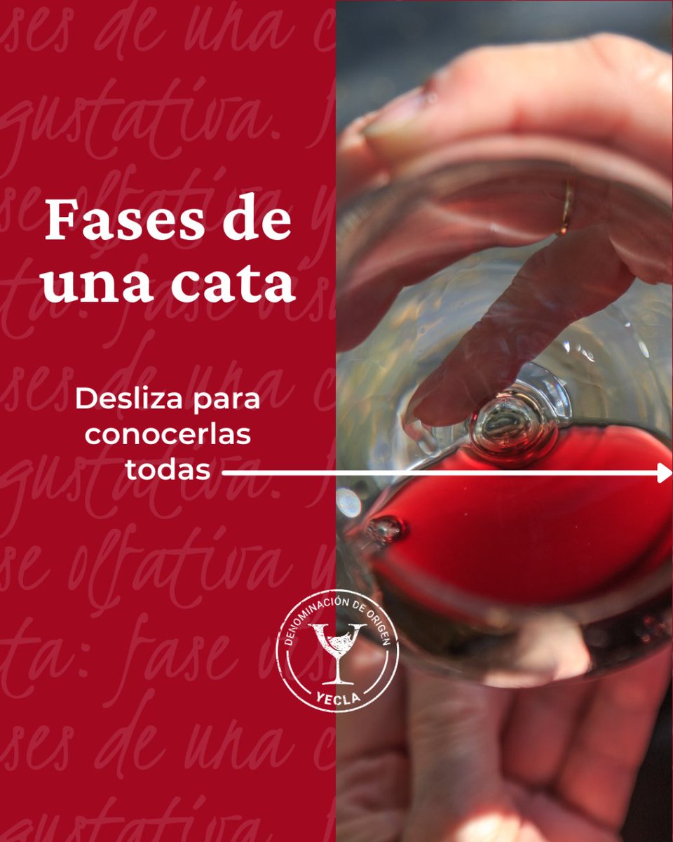 YeclaVino's tweet image. 🍷 Hoy queremos contarte las Fases de una Cata. ¿Sabe para qué sirva cada una?
Desliza en descúbrelas todas ➡️

#DOPYecla