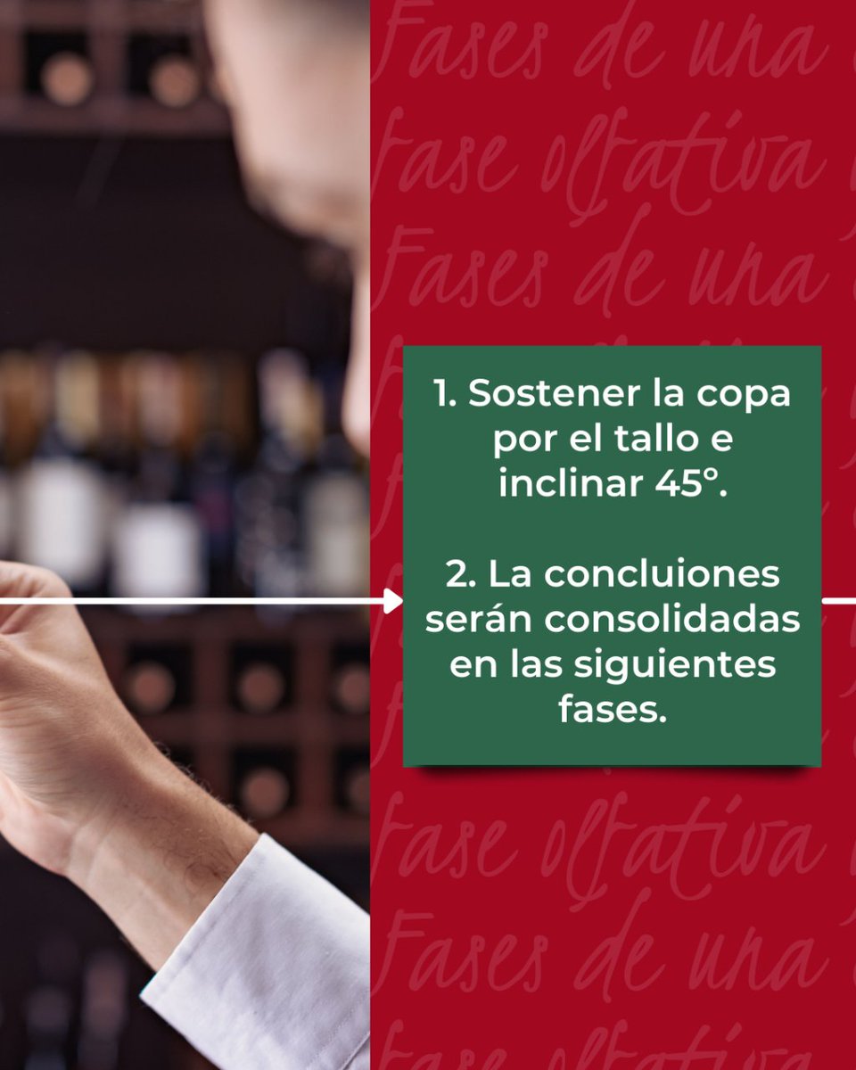 YeclaVino's tweet image. 🍷 Hoy queremos contarte las Fases de una Cata. ¿Sabe para qué sirva cada una?
Desliza en descúbrelas todas ➡️

#DOPYecla