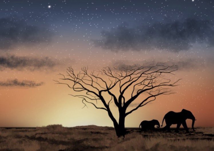 We’re (#AFOA) inspired to promote and implement effective solutions to the critical issues we face in Africa with wildlife conservation and the sustainable ecological circle. angelforceofafrica.com