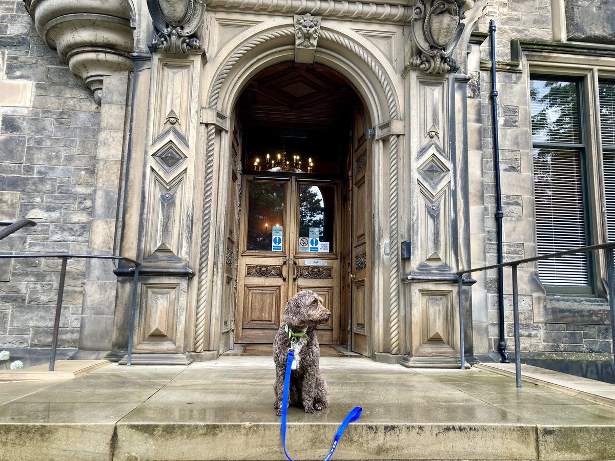 seachubbs's tweet photo. So lovely to be invited to speak about the benefits of therapy dogs in ICU today in Edinburgh @ICS_updates @PetsAsTherapyUK @LeedsICU @LeedsHospitals #animalassistedintervention https://t.co/13Bp3Vcbwf