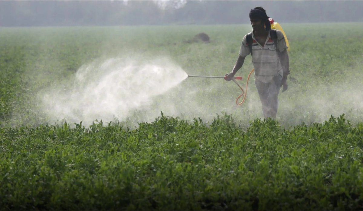 CA is the breadbasket of the nation. Growing & picking our food shouldn't give farmworkers Parkinson’s disease or cancer. Because of the herbicide paraquat, it can. My bill to ban paraquat passed the Assembly! Thank you @DoloresHuerta & @ewg for fighting for farmworkers' health!