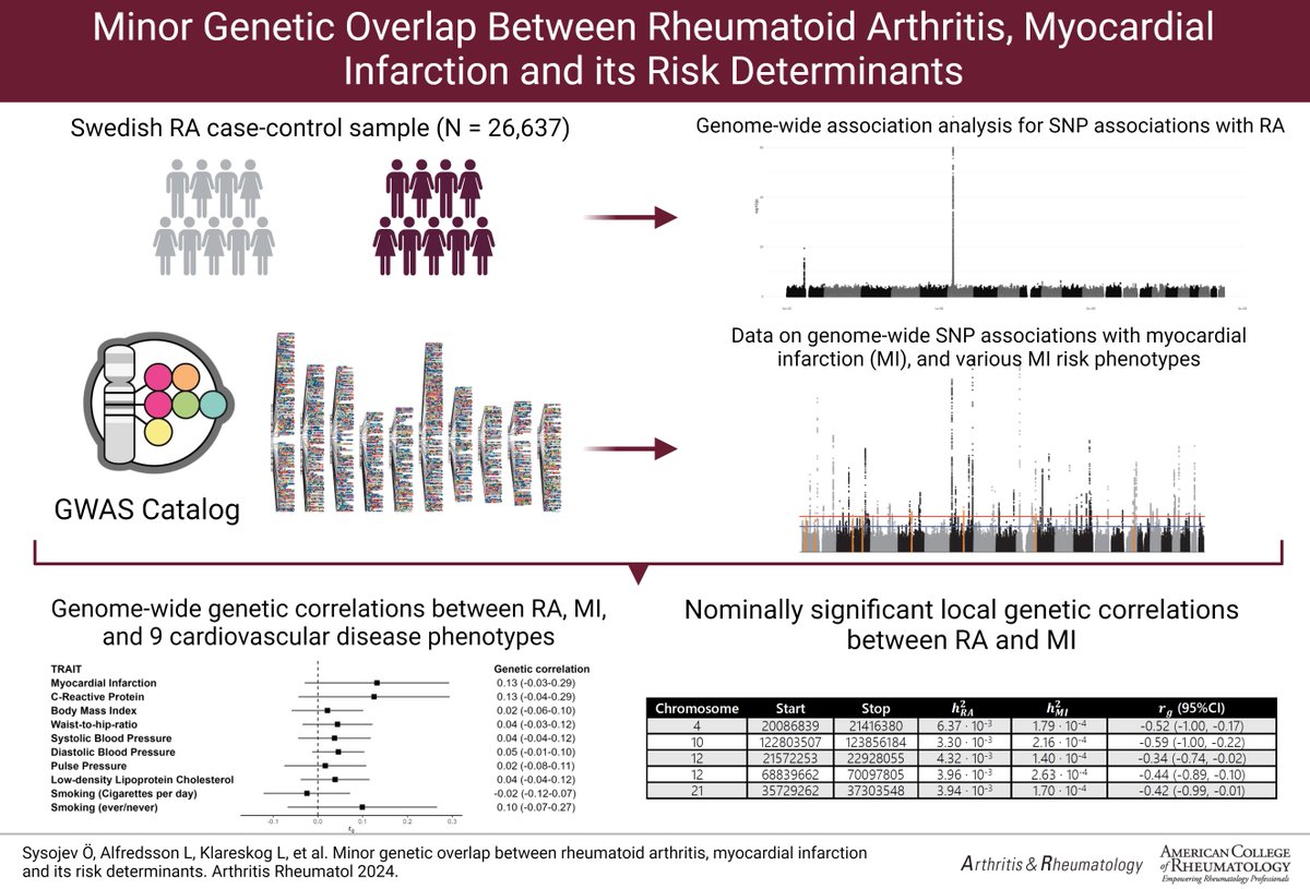 What is the role of genetics in the elevated risk of cardiovascular disease among RA patients? This study used GWAS data from a Swedish RA cohort paired with data on myocardial infarction, illustrating minor genetic overlap between the traits. In A&R loom.ly/Un3PAaM