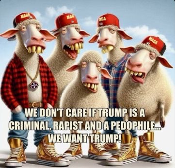 CDCRYRC ✝️♋️♥️🇺🇸🗽🇮🇱🕊️👨👩👧👦🥼⛑🌻 tweet media